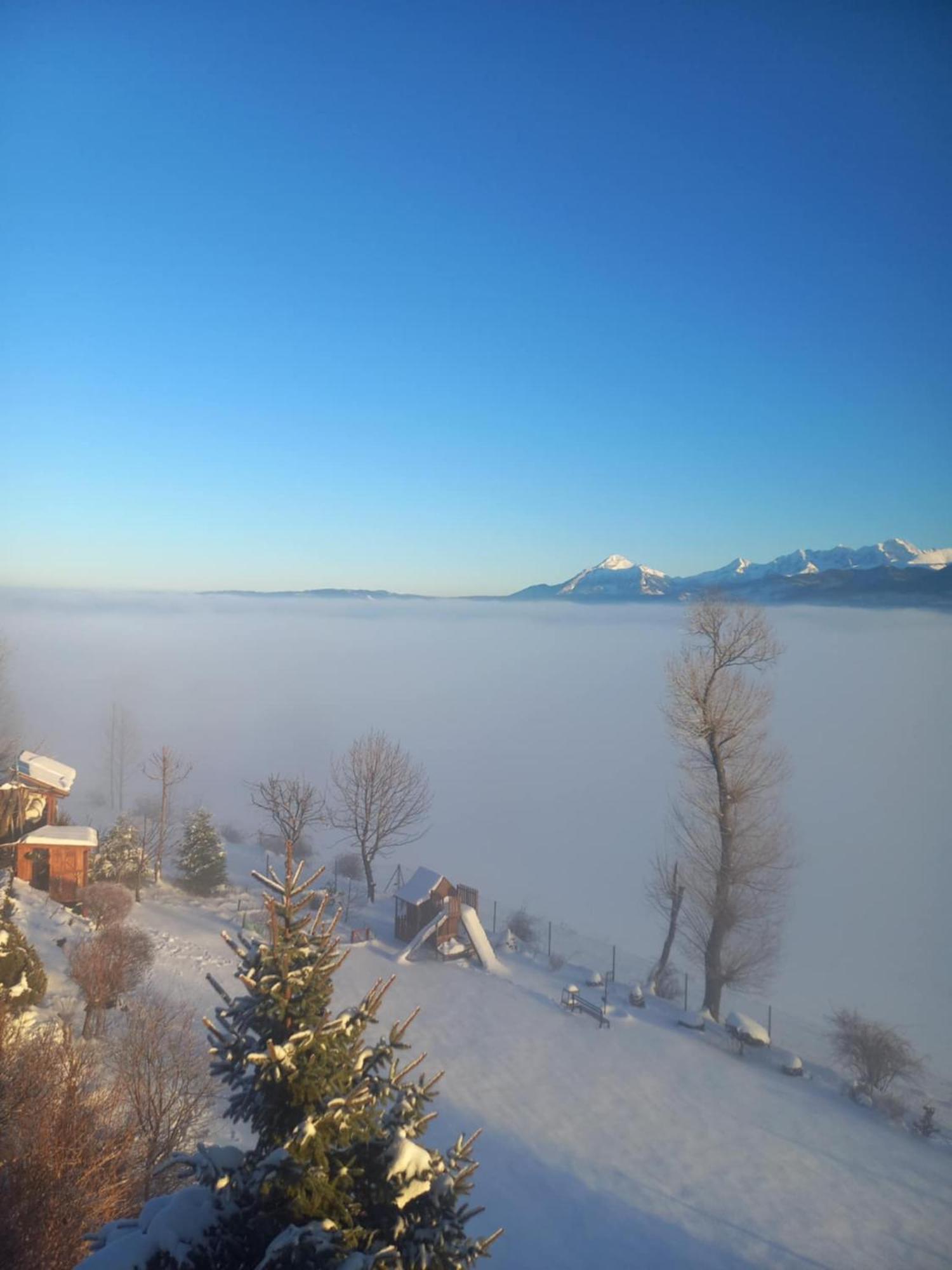 Widokowy Zakatek U Kamila Appartement Zakopane Buitenkant foto